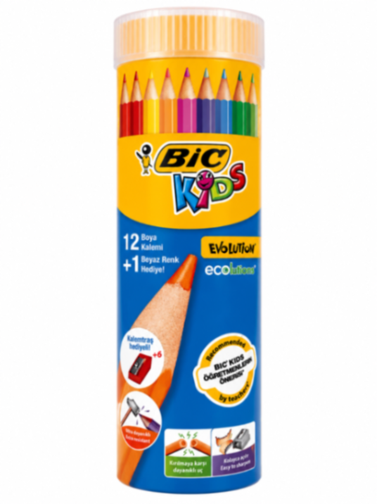BIC 12 Lİ KURU TÜP BOYA KALEMİ