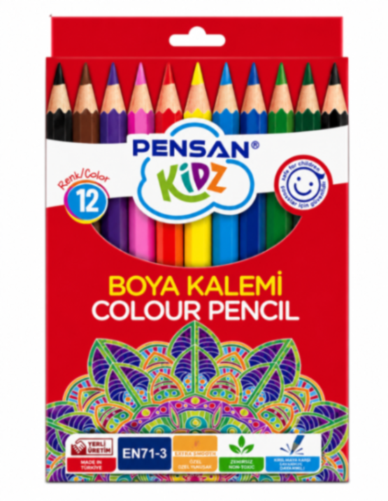 PENSAN KURU BOYA 12 RENK